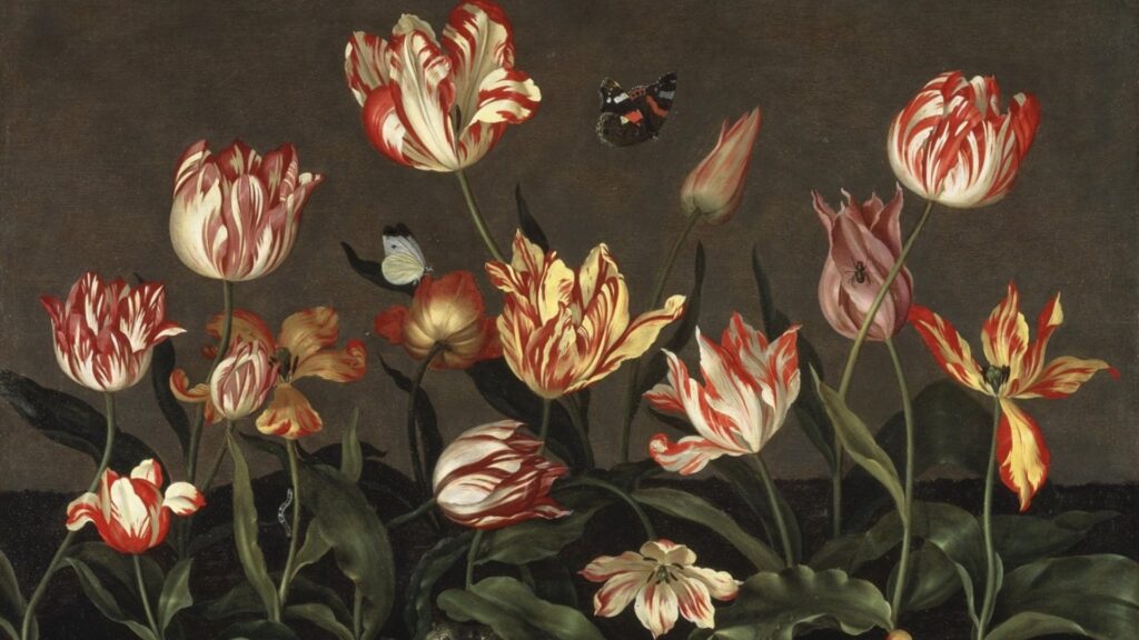 Dutch Flowers