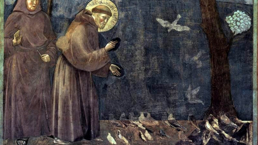 St Francis